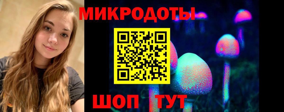 Кизляр  Галлюциногенные грибы прущие грибы  Галлюциногенные грибы Psilocybine cubensis  Вход с VPN 